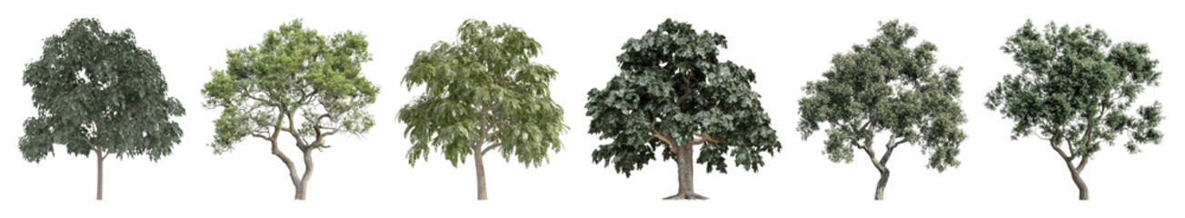 Fototapeta premium PNG Diverse trees in row, element set on transparent background