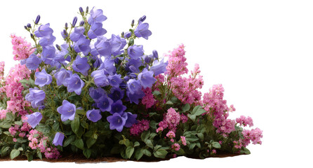 Obraz premium [Transparent Background PNG]Vibrant Colorful Flower Arrangement
