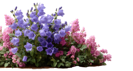 [Transparent Background PNG]Vibrant Colorful Flower Arrangement