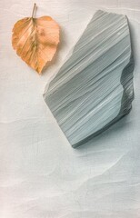 old paper with leaf