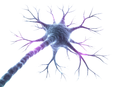 [Transparent Background PNG]Detailed Illustration of a Neuron Structure - Powered by Adobe