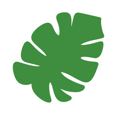 green leaves isolated on white background, green leaf isolated on white background, 