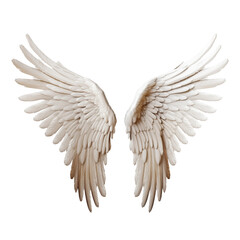 Obraz premium angel wings isolated on white