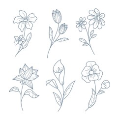  set of botanical leaf doodle wildflower Botanical line art drawings collection
