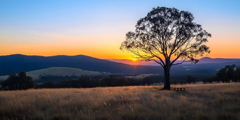 Fototapeta premium Serene Sunset Landscape: Solitary Tree in Golden Meadow