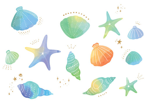 カラフルな貝殻の水彩イラスト