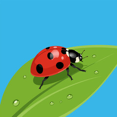 Ladybug Walking on Green Leaf with Water Droplets Illustration