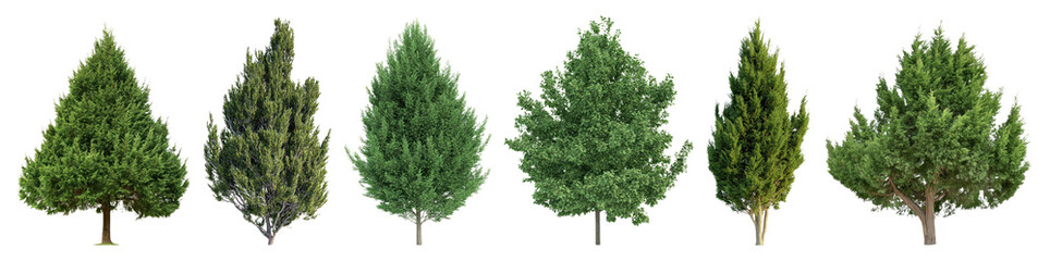 Obraz premium PNG Variety of lush trees, element set on transparent background
