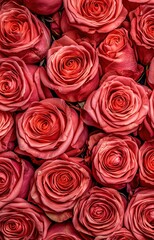 bouquet of red roses