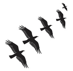 Fototapeta premium set of silhouettes of birds