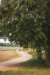 Footpath with walker and dog by the Hase River near Bramsche