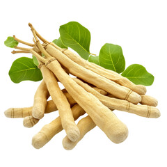 Shatavari Roots With Leaves on transparent or white Backdrop, Highlighting The Plant'S Natural Beauty And Potential Uses.