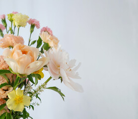 summer beautiful  flowers on white background