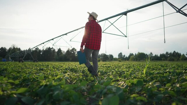 Farmer farm at sunset. Agronomist inspects crops on farm. Sunset highlights farmer agronomy work. Farmer manages farm with agronomy expertise. practices farm. Agronomy at sunset enhances crop growth.
