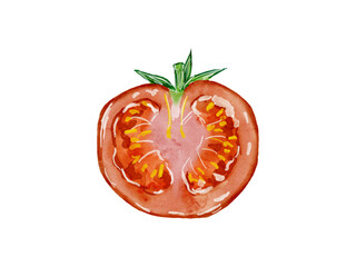 水彩で描いた夏野菜のみずみずしいトマトのイラスト素材