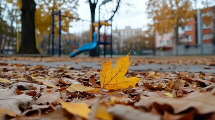 Autumnal playground scene with fallen leaves. A vibrant yellow maple leaf sits amidst a blanket of autumnal brown and golden leaves, with a playground in the background