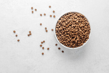 Dry dog food in bowl with scattered kibbles on white background