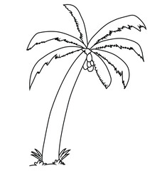 Cute cartoon hand drawn vector coconut tree coloring page.