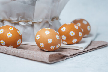 Easter daisy painted eggs, easter background
