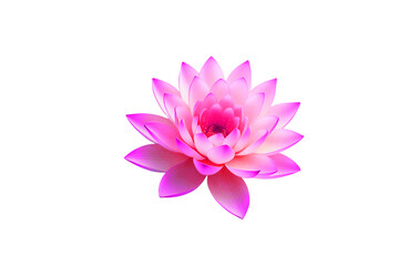 Fototapeta premium Vibrant, delicate pink lotus flower in full bloom, its petals softly ruffled and slightly overlapping, floating effortlessly on a pristine, pure white background, perfectly isolated for a seamless cut