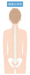 女性　健康な背骨