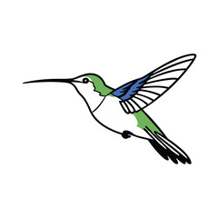 Obraz premium Flying Hummingbird Illustration