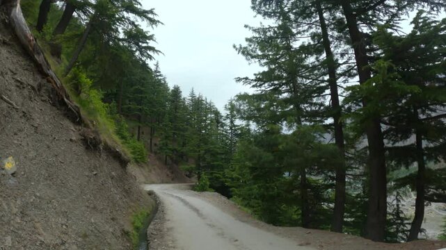 4K POV shot of a vehicle moving on an asphalt road between the Pine tree forest during a cloudy day in Pattan Valley, Lahaul and Spiti district, Himachal Pradesh, India. Scenic view of Himalayan road.