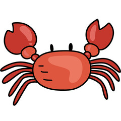 crab , red crab in the summer beach
