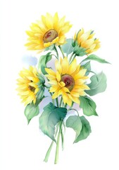Bouquet of Sunflowers with Green Leaves