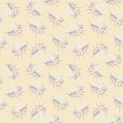 Coastal white seashell seamless pattern on pastel beige. Hand drawn sea snail shells backdrop. Realistic ocean mollusk repeat background for watercolor designs. Coral reef animal tropical clip art