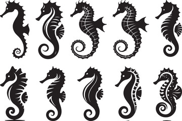 Collection of black silhouettes of sea horses ocean wildlife marine animals © SaHeD