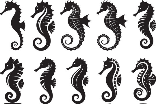 Collection of black silhouettes of sea horses ocean wildlife marine animals