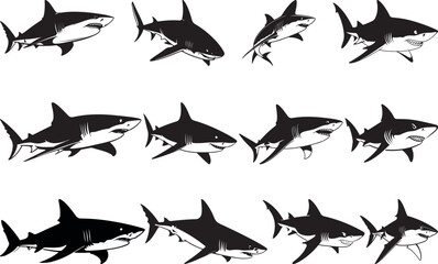 Twelve silhouettes of great white sharks in various poses