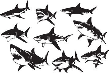 Collection of black and white shark illustrations great white sharks