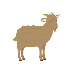 goat with brown fur on white background. vector illustration. animal theme. Muslim theme. Qurban theme. Eid al adha theme. hajj pilgrimage. Islamic celebration day.