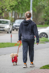 A woman walks with her dog on the sidewalk on a spring day