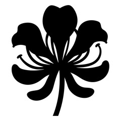 A bold and graphic black and white stylized amaryllis flower