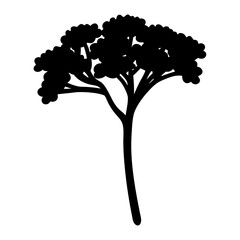 Striking silhouette of a solitary tree showcasing unique branching patterns