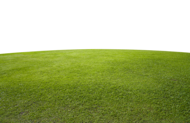 Green grass field background.
