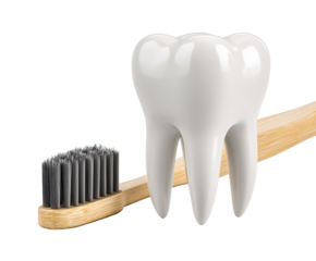 Dental health concept with a toothbrush and a white tooth model on a transparent background, cut out