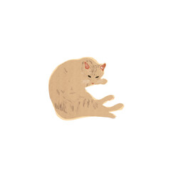 Obraz premium Ginger Cat