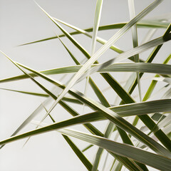 An abstract representation of grass blades in geometric shapes, isolated on a white background, studio lighting