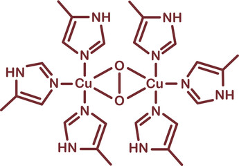 Chemical structure of haemocyanin