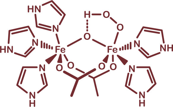 Chemical structure of haemerythrin