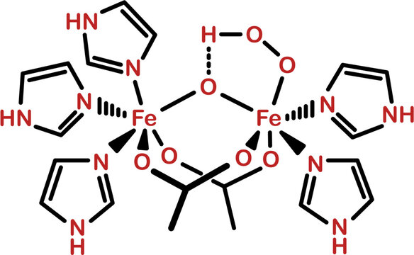 Chemical structure of haemorythrin