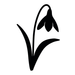 Elegant black silhouette of a snowdrop flower, a simple and graceful design