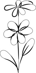 Simple Line Drawing of Two Daisies on a Stem with Leaves