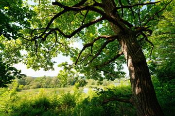 Flicourt  Regional Nature Area  in the Vexin Français Regional Nature Park	