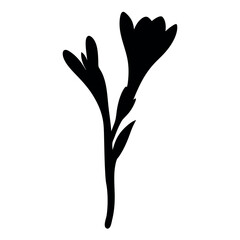 Fototapeta premium Elegant black silhouette of a blooming flower on a white background