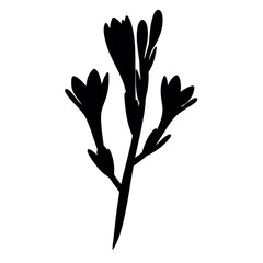 Striking Silhouette of Three Flowers in a Botanical Graphic Representation